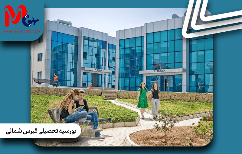 راهنمای جامع بورسیه تحصیلی قبرس شمالی؛ شرایط، مدارک و مزایا