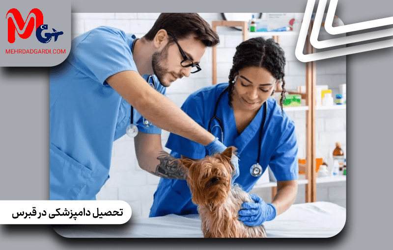 تحصیل دامپزشکی در قبرس؛ هر آنچه باید درباره تحصیل در قبرس بدانید
